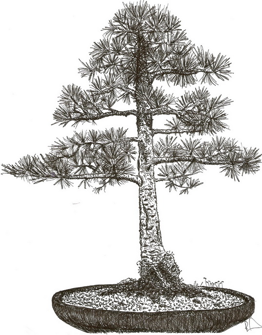 skenovat0001 malí