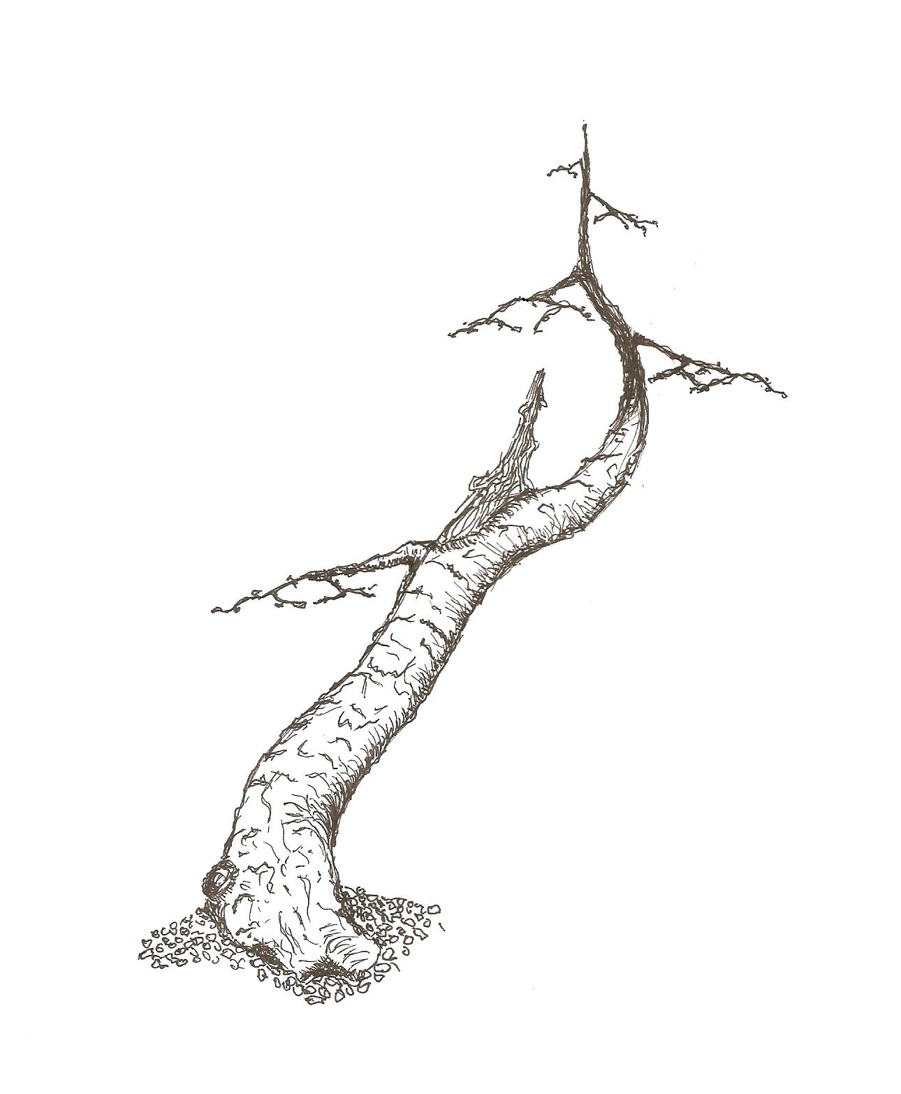 skenovat0002