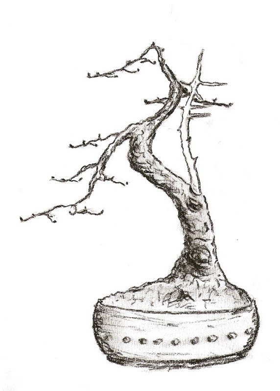 skenovat0003g