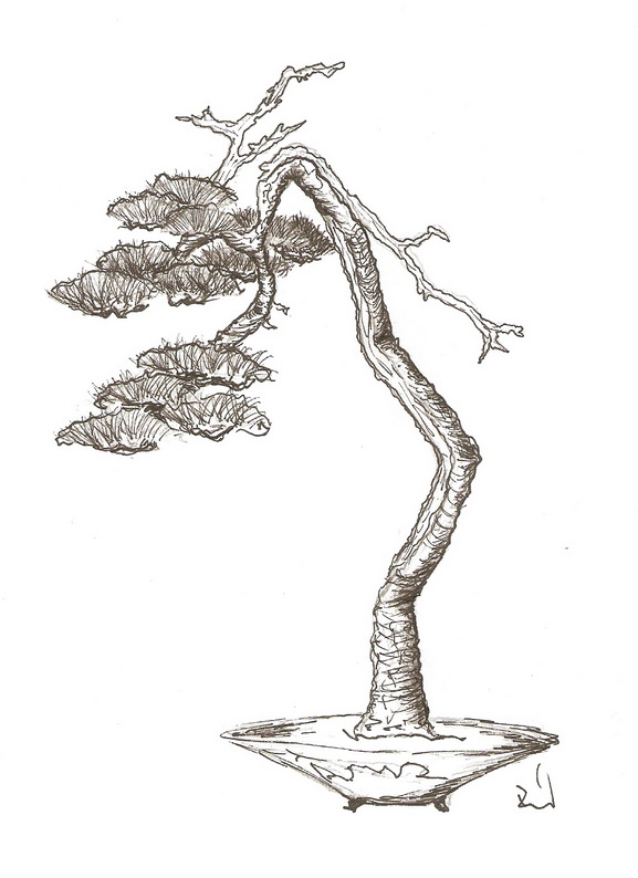 skenovat0011G