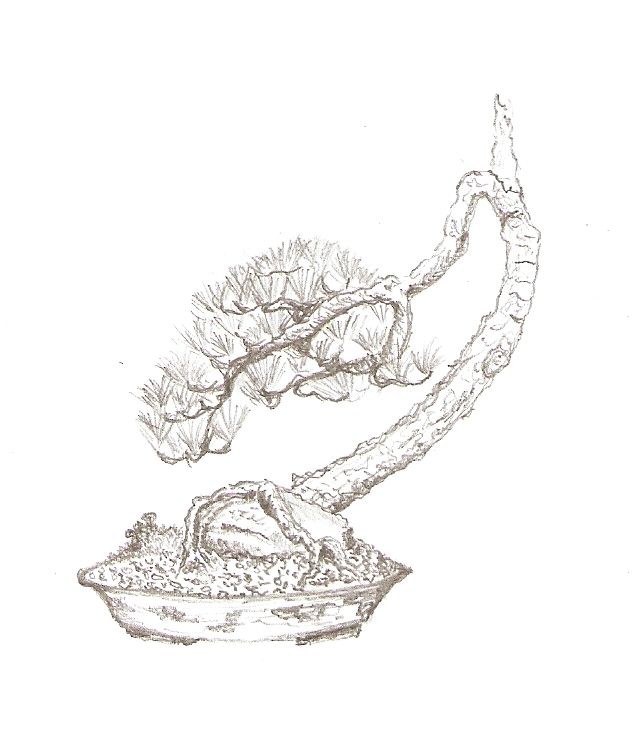 skenovat0003
