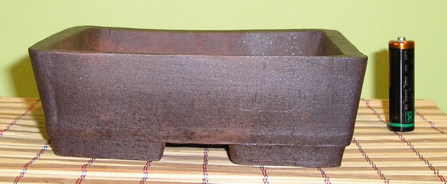 P4200132m