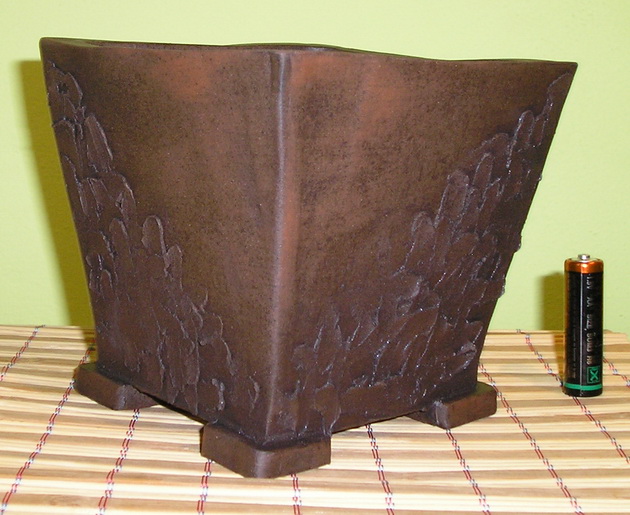 P4200129m