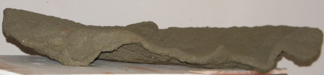P2110011