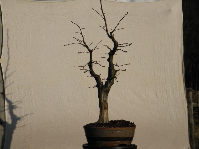 P3060015