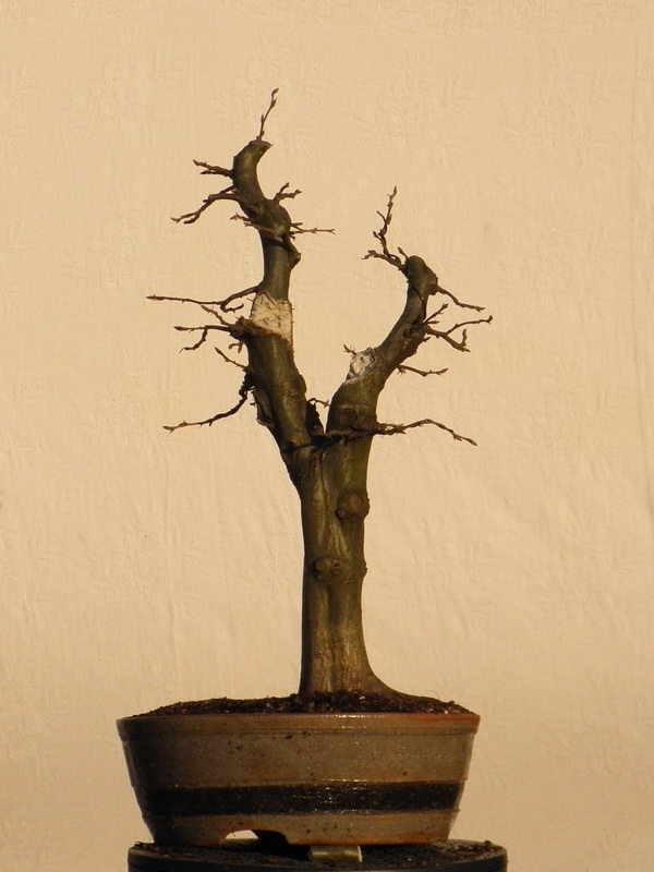 P3060025