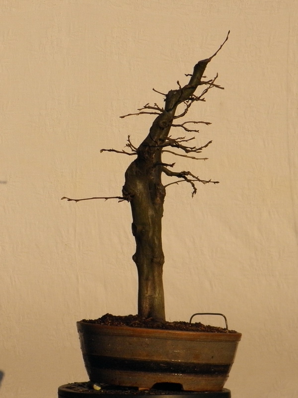 P3060026