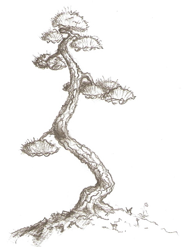 skenovat0018g
