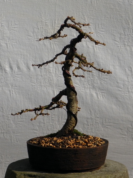 P3180032