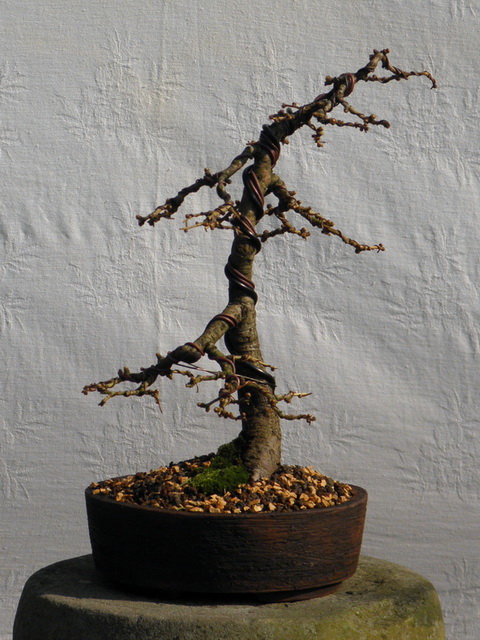 P3180035