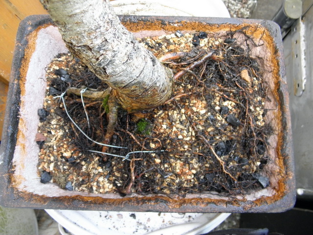 P3180023