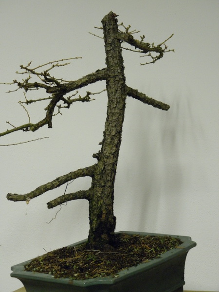 P3110048