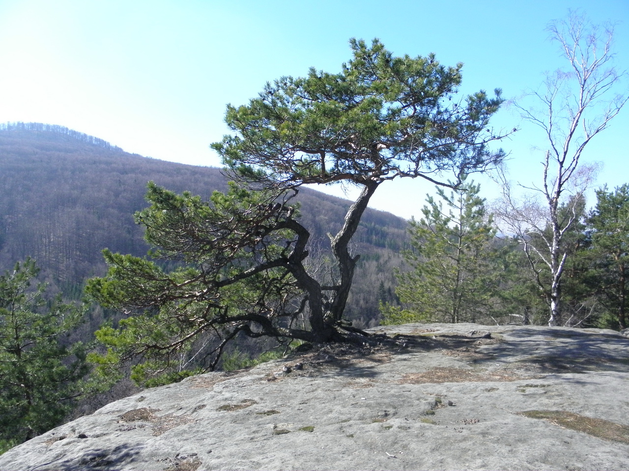 P3250025