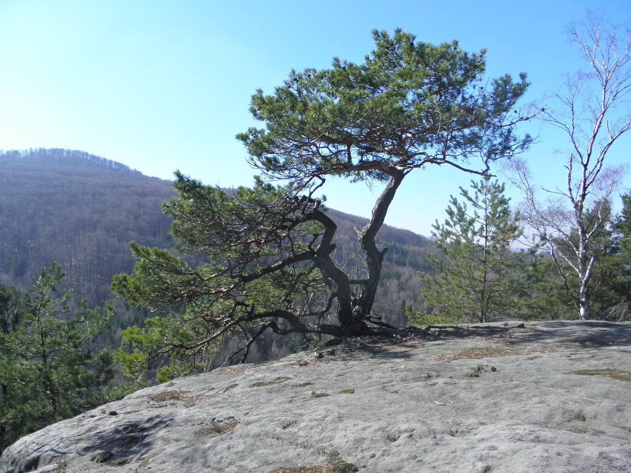 P3250026