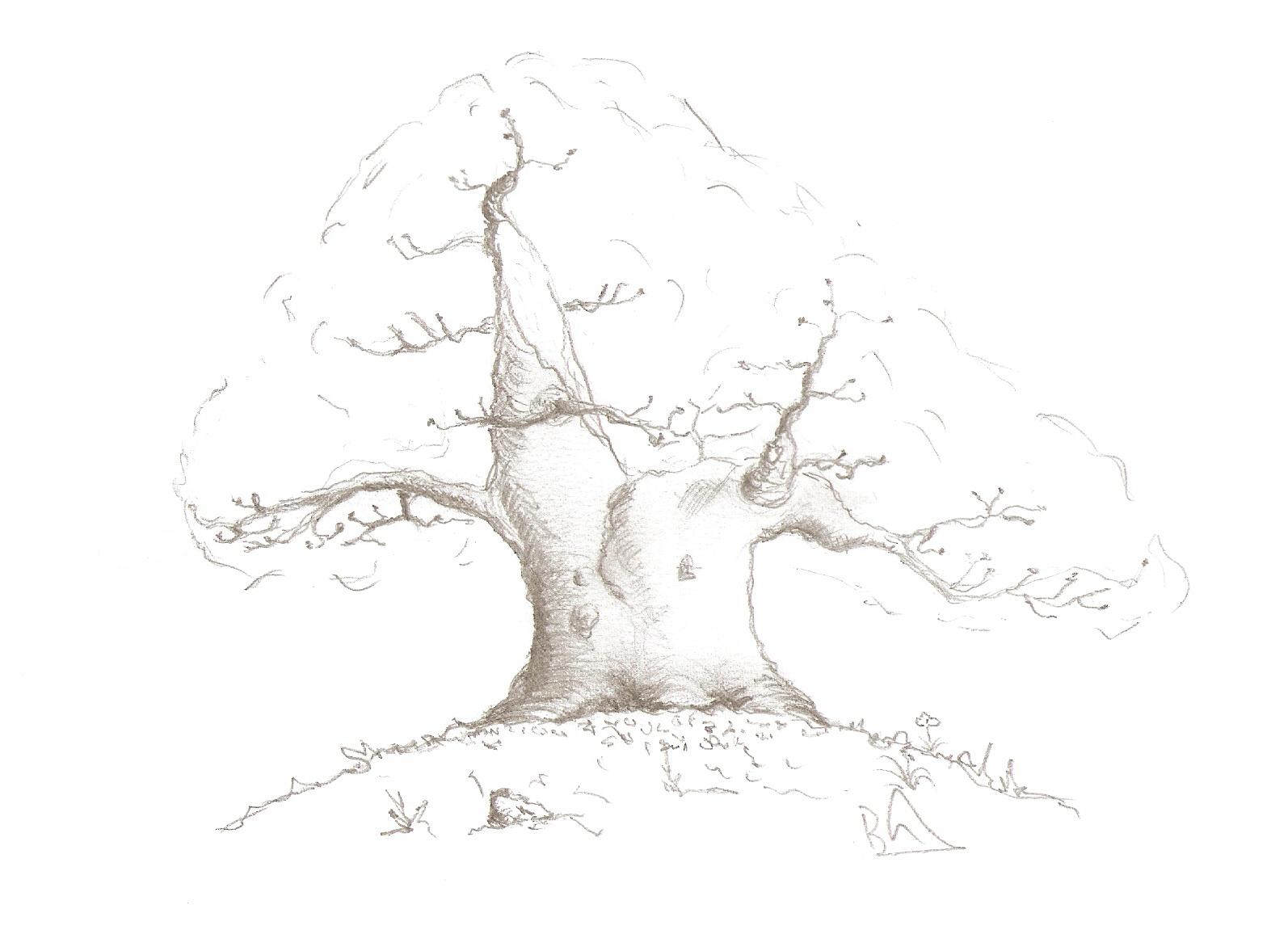 skenovat0025