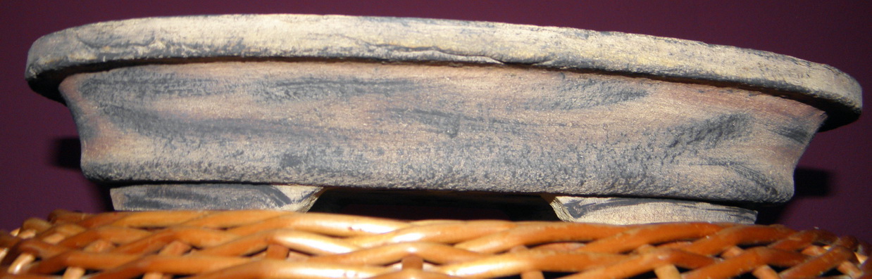 P7220062m