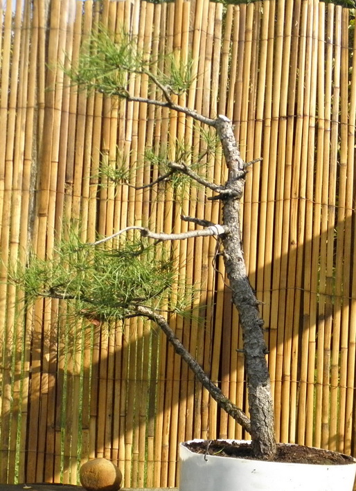 PA090015m