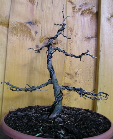 P3090229m